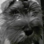 Darla matilda
