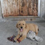 Braandy 