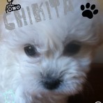 Chikita