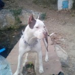 MERY
