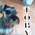 A.Toby