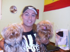 Fotos de perros