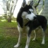 Jack