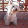 Kimba (Alborada Enamorada)