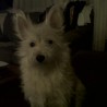 Lola