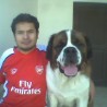 Homero Althius Gold