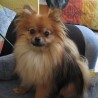 Lola