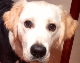 Sam