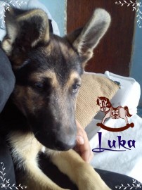 Luka