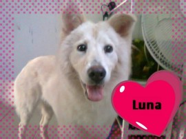 luna