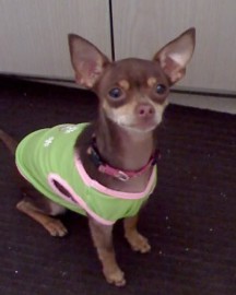 Pinky