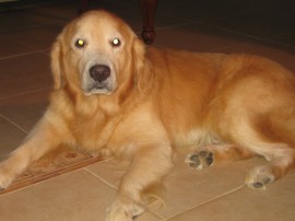 CLIFFORD