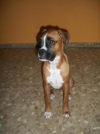 Keira