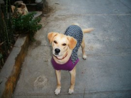 Fiona