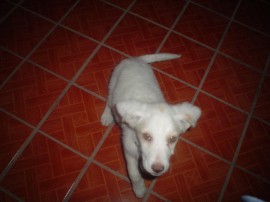 iyue
