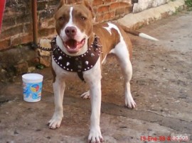 Aquiles