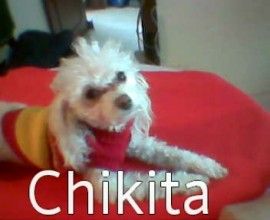 CHIKITA