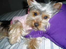 Martina