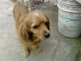MuÑeCa