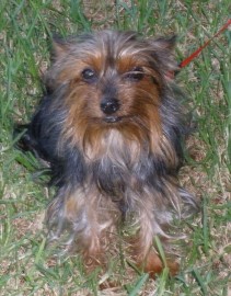 KIKA. Siempre te recordaré