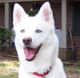 kiara