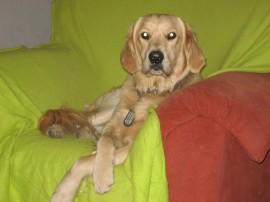 ruffo