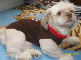 Curro