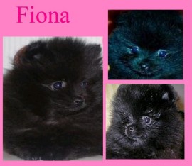 Fiona