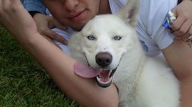 atka