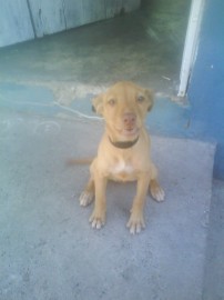 vicky