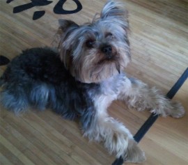 Coco