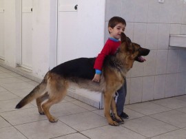 kora