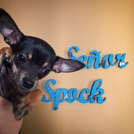 Señor Spock