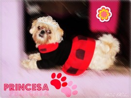 Princesa