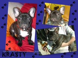 KRASTY