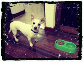 Lucas