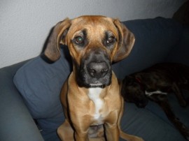 Max 