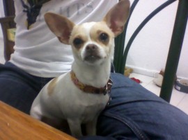 Lola