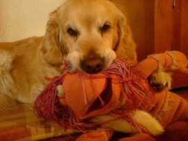 Tosca