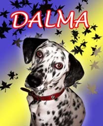 Dalma