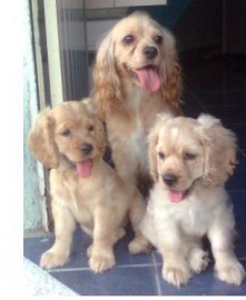 angie, lucero & ellie