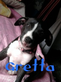 gretta