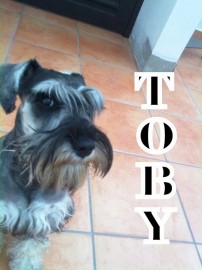 A.Toby