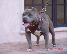 pequeño