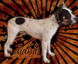 Diablo