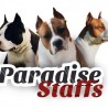 ParadiseStaffs
