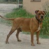 Andrea1605