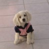 TerRiiy