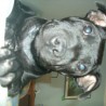 rubstaffy