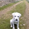 beaita